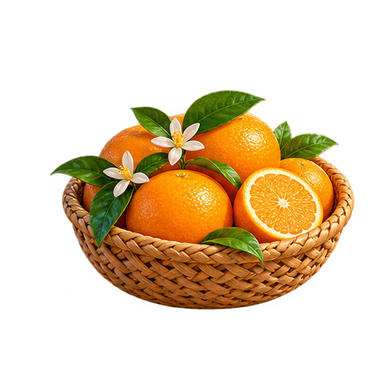 Orange basket